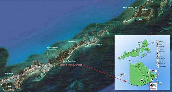 Middle Keys FKH CHSP