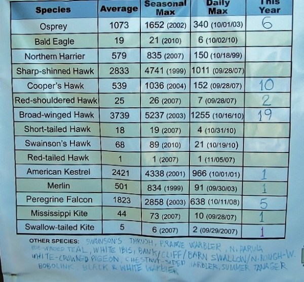 9-15-11 IMG_0927 (800x600) (2)