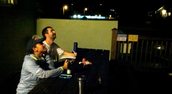 Flight calls Sept 16 -13