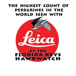 LeicaFKH Logosm