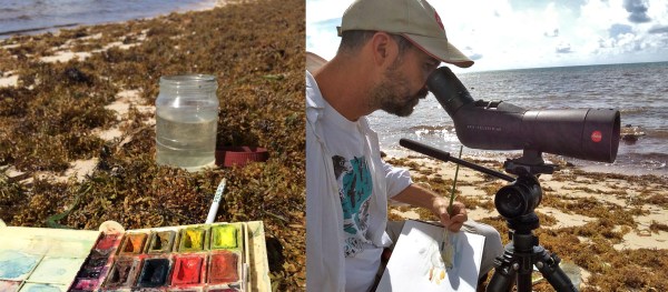Sketching shorebirds at Long Key State Park.